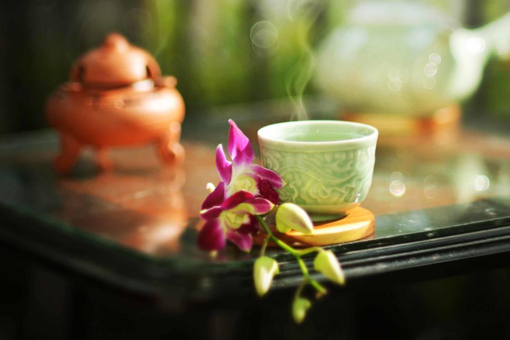 Rice Village Homestay هوي ان المظهر الخارجي الصورة