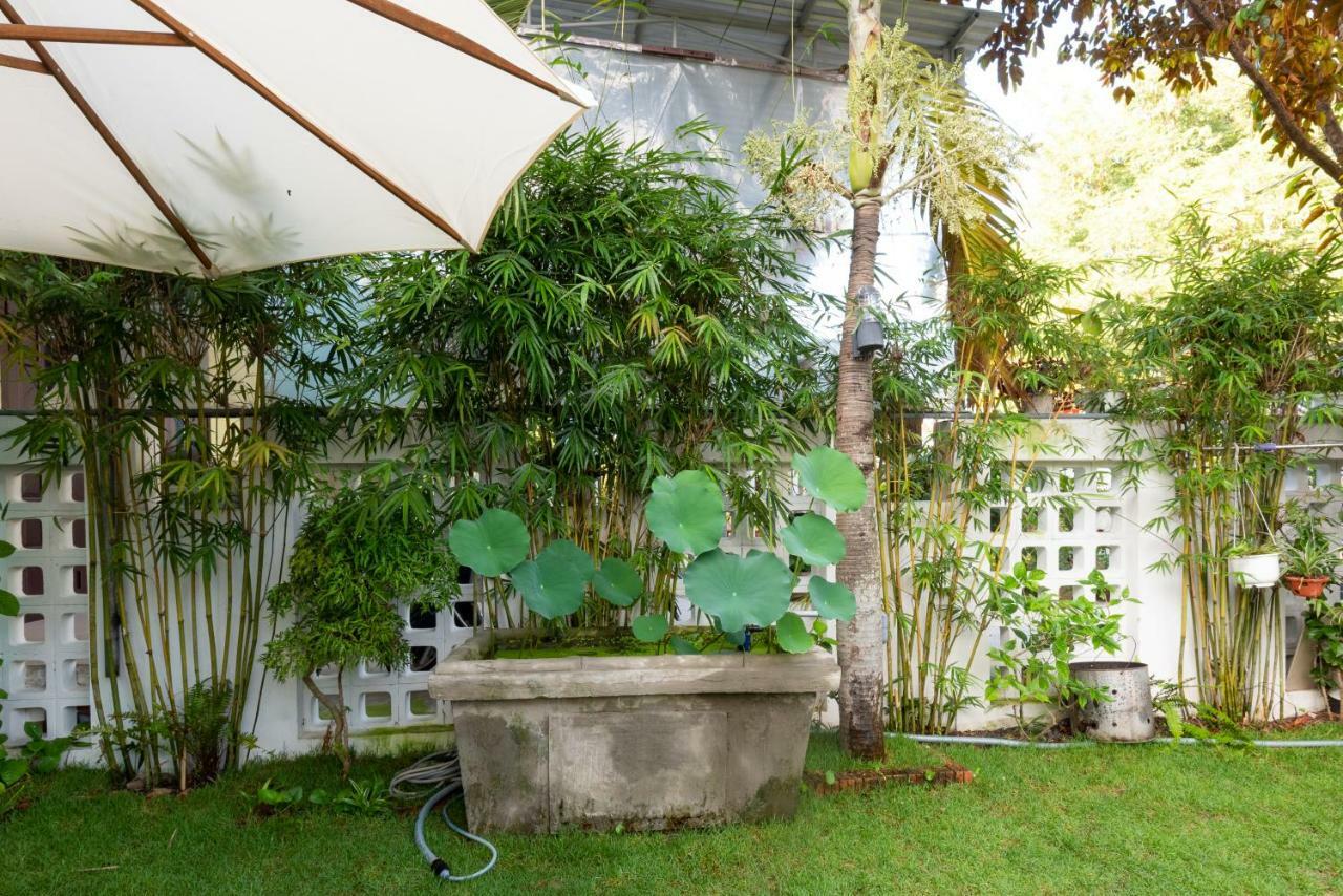 Rice Village Homestay هوي ان المظهر الخارجي الصورة